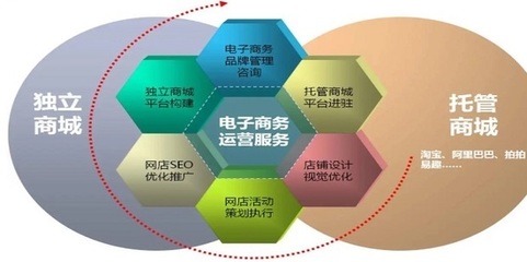 電子商務(wù)網(wǎng)站與平臺的全面推廣與精細(xì)化運營策略